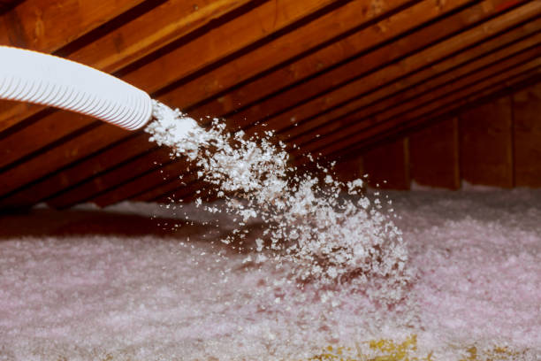 Best Insulation for New Construction  in Port St John, FL