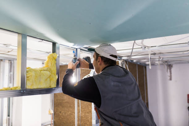 Best Insulation Contractor Near Me  in Port St John, FL